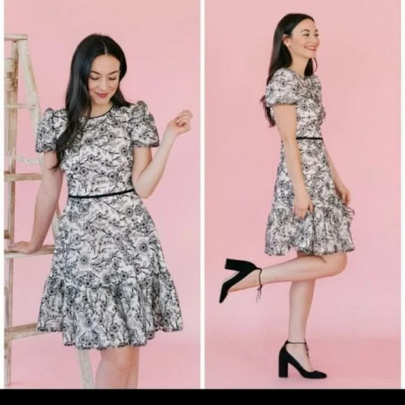 NWT Gal Meets Glam Viola Raffia Embroidered Dress Size 4 - Picture 2 of 10